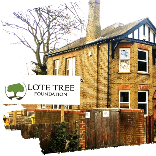 Lote Tree Foundation
